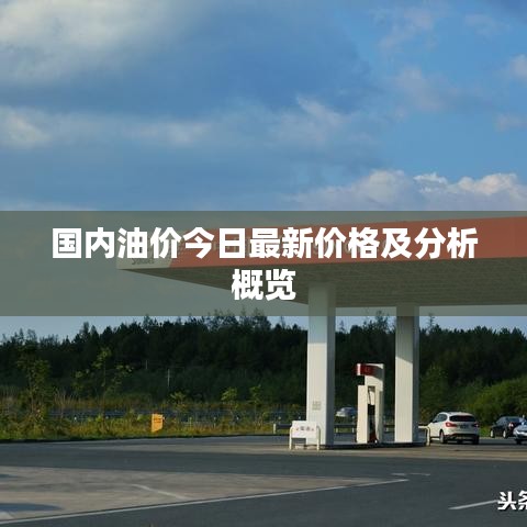 國內(nèi)油價今日最新價格及分析概覽