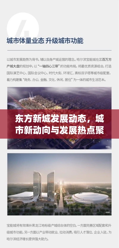 東方新城發(fā)展動態(tài)，城市新動向與發(fā)展熱點聚焦