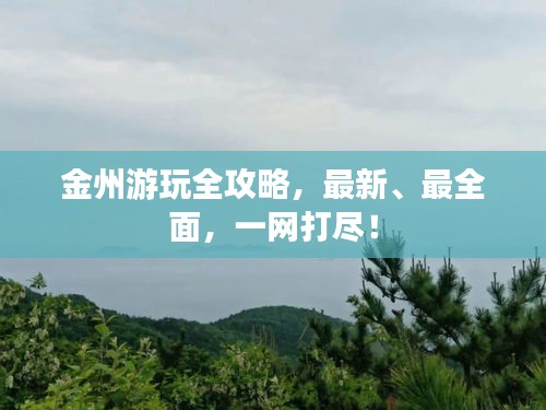 金州游玩全攻略，最新、最全面，一網(wǎng)打盡！