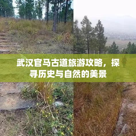 武漢官馬古道旅游攻略，探尋歷史與自然的美景