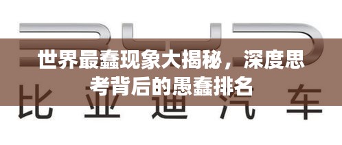 世界最蠢現(xiàn)象大揭秘，深度思考背后的愚蠢排名