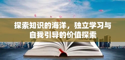 探索知識的海洋，獨(dú)立學(xué)習(xí)與自我引導(dǎo)的價值探索