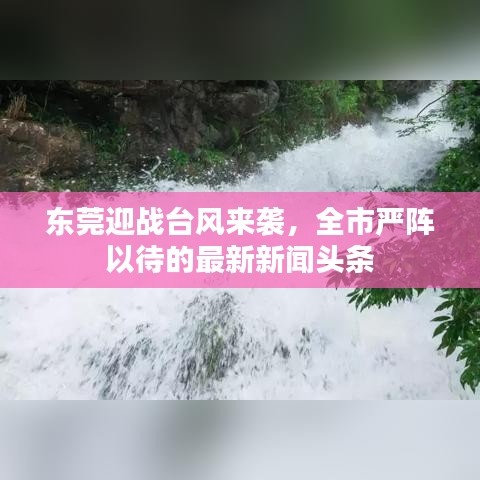 東莞迎戰(zhàn)臺風來襲，全市嚴陣以待的最新新聞頭條
