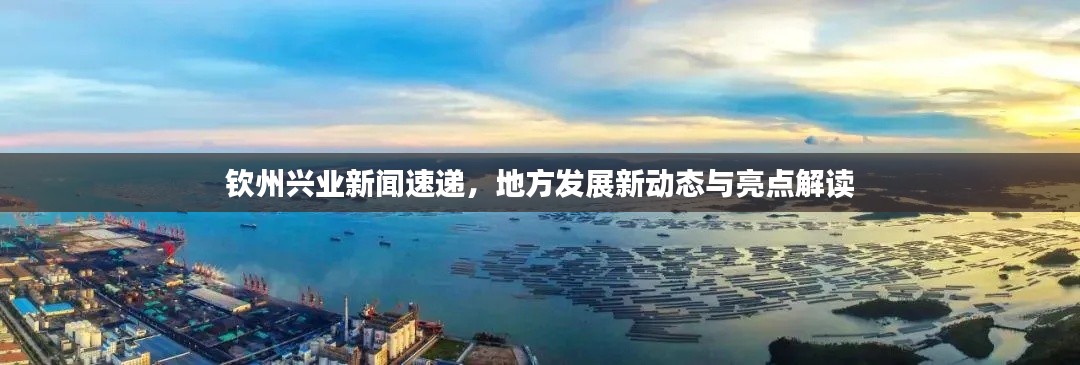 欽州興業(yè)新聞速遞，地方發(fā)展新動態(tài)與亮點解讀