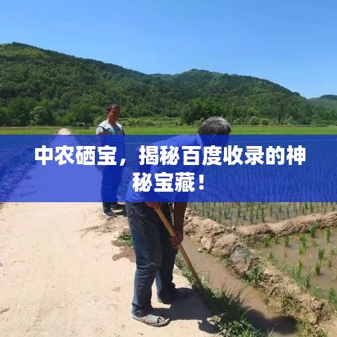 中農(nóng)硒寶，揭秘百度收錄的神秘寶藏！