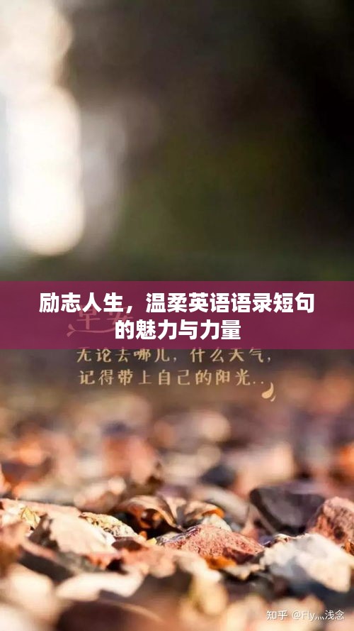 勵(lì)志人生，溫柔英語(yǔ)語(yǔ)錄短句的魅力與力量