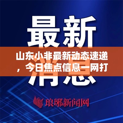 山東小非最新動(dòng)態(tài)速遞，今日焦點(diǎn)信息一網(wǎng)打盡！