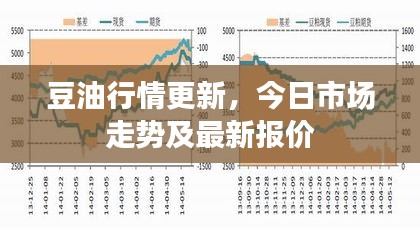 豆油行情更新，今日市場走勢及最新報價