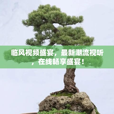 臨風視頻盛宴，最新潮流視聽，在線暢享盛宴！