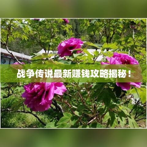 戰(zhàn)爭傳說最新賺錢攻略揭秘！