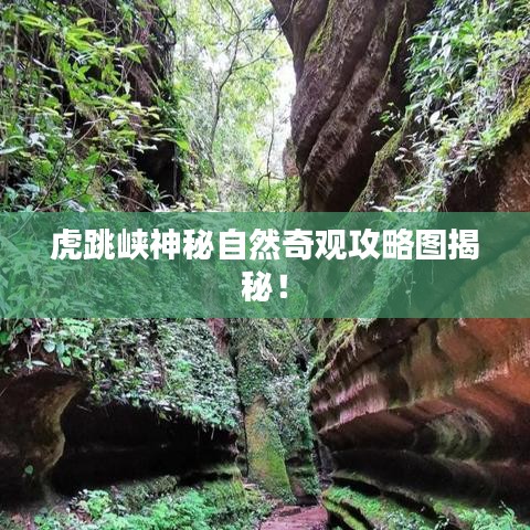 虎跳峽神秘自然奇觀攻略圖揭秘！