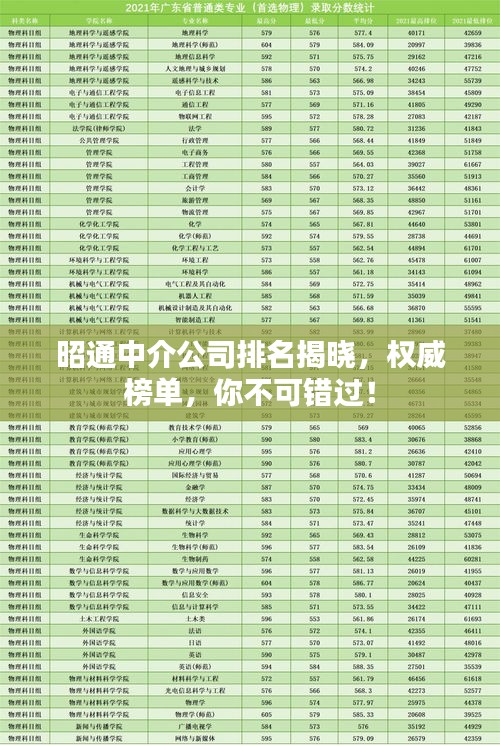 昭通中介公司排名揭曉，權威榜單，你不可錯過！