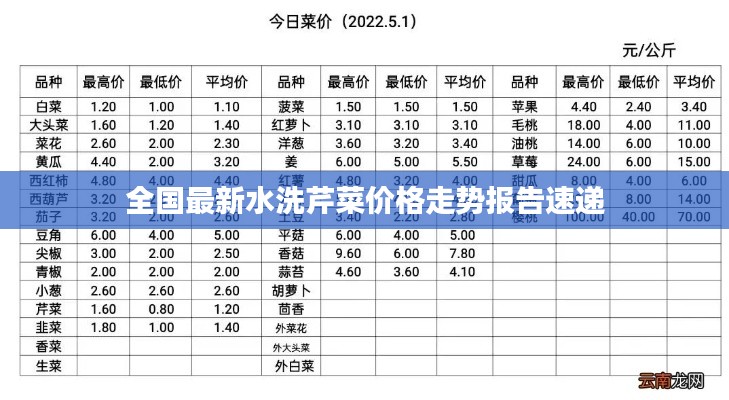 全國最新水洗芹菜價格走勢報告速遞