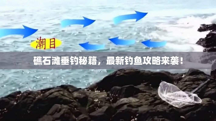礁石灘垂釣秘籍，最新釣魚攻略來(lái)襲！