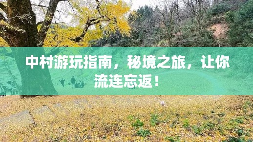 中村游玩指南，秘境之旅，讓你流連忘返！