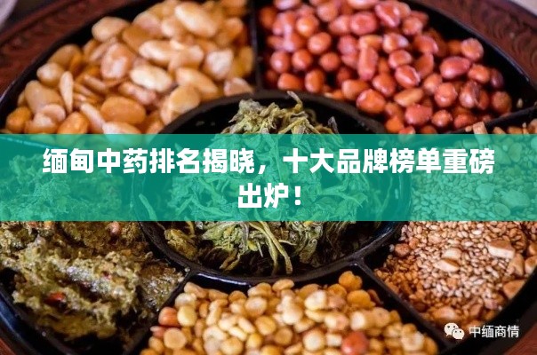 緬甸中藥排名揭曉，十大品牌榜單重磅出爐！