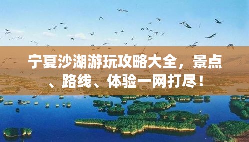 寧夏沙湖游玩攻略大全，景點、路線、體驗一網打盡！