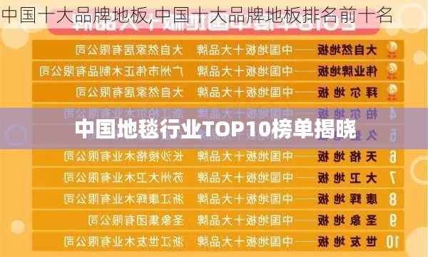 中國(guó)地毯行業(yè)TOP10榜單揭曉
