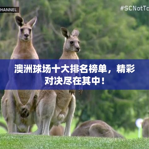 澳洲球場十大排名榜單，精彩對決盡在其中！