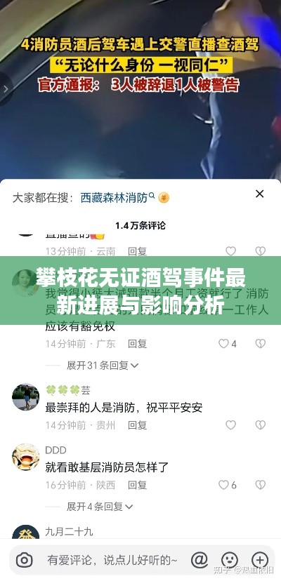 攀枝花無(wú)證酒駕事件最新進(jìn)展與影響分析