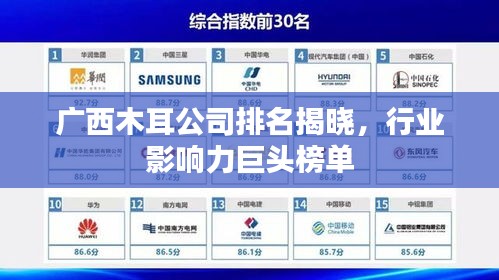 廣西木耳公司排名揭曉，行業(yè)影響力巨頭榜單