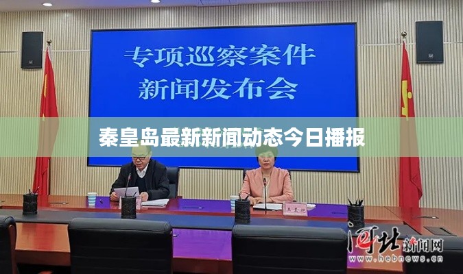 秦皇島最新新聞動態(tài)今日播報