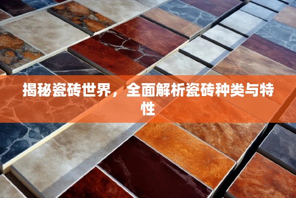 揭秘瓷磚世界，全面解析瓷磚種類與特性