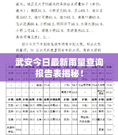 武安今日最新雨量查詢報(bào)告表揭秘！