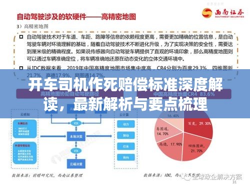 開車司機(jī)作死賠償標(biāo)準(zhǔn)深度解讀，最新解析與要點(diǎn)梳理