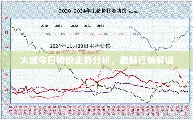 大埔今日豬價走勢分析，最新行情解讀