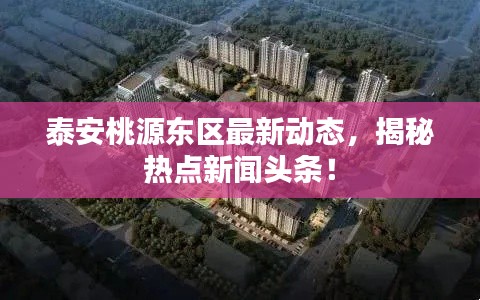 泰安桃源東區(qū)最新動態(tài)，揭秘熱點新聞頭條！
