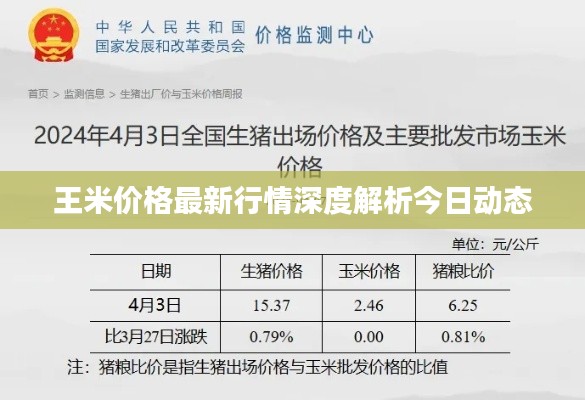 王米價(jià)格最新行情深度解析今日動(dòng)態(tài)