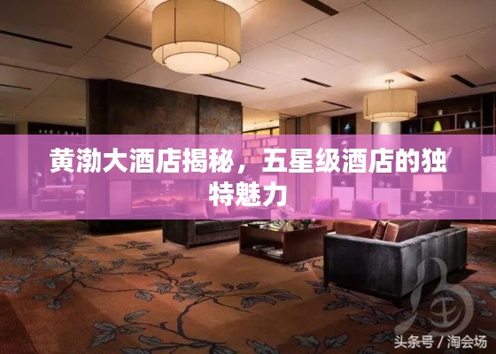 黃渤大酒店揭秘，五星級酒店的獨(dú)特魅力