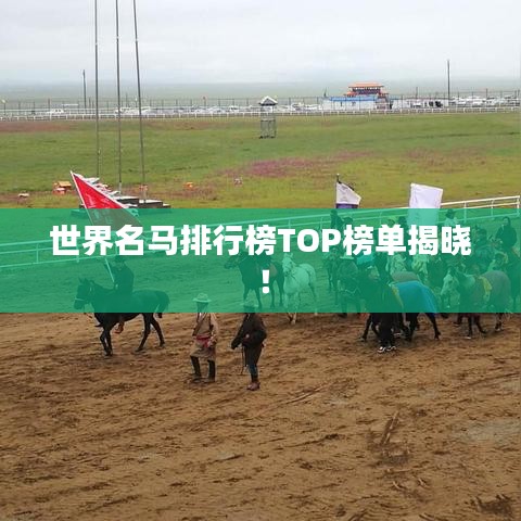世界名馬排行榜TOP榜單揭曉！