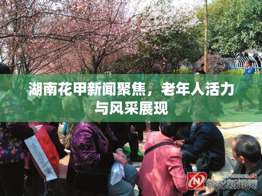湖南花甲新聞聚焦，老年人活力與風(fēng)采展現(xiàn)