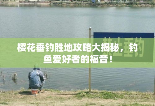 櫻花垂釣勝地攻略大揭秘，釣魚愛好者的福音！