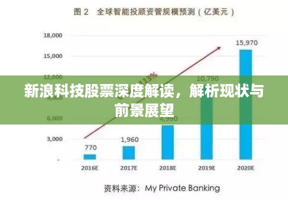新浪科技股票深度解讀，解析現(xiàn)狀與前景展望