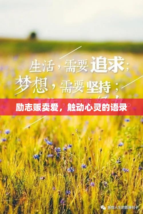 勵(lì)志販賣愛，觸動(dòng)心靈的語錄