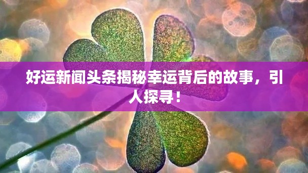好運新聞頭條揭秘幸運背后的故事，引人探尋！