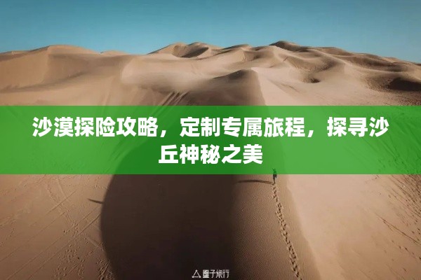 沙漠探險攻略，定制專屬旅程，探尋沙丘神秘之美