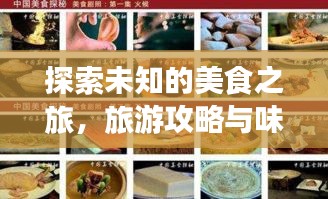 探索未知的美食之旅，旅游攻略與味蕾探險(xiǎn)全攻略