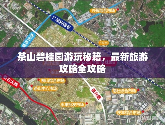 茶山碧桂園游玩秘籍，最新旅游攻略全攻略