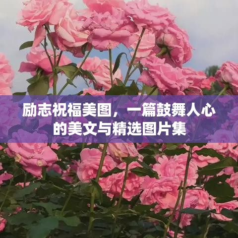 勵志祝福美圖，一篇鼓舞人心的美文與精選圖片集