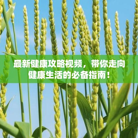 最新健康攻略視頻，帶你走向健康生活的必備指南！