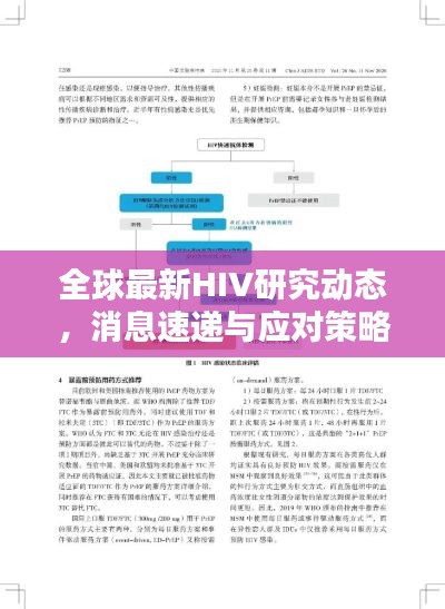 全球最新HIV研究動(dòng)態(tài)，消息速遞與應(yīng)對(duì)策略探討
