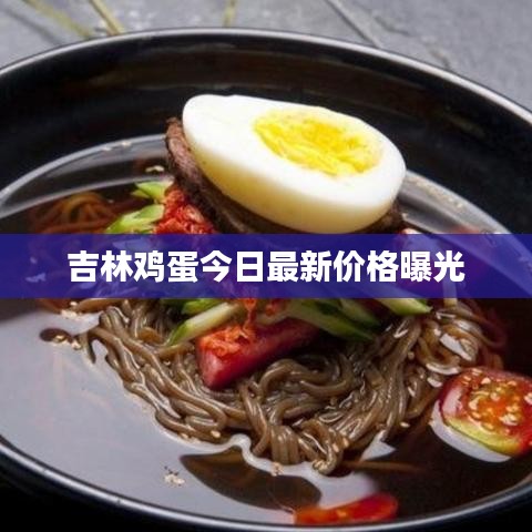 吉林雞蛋今日最新價格曝光