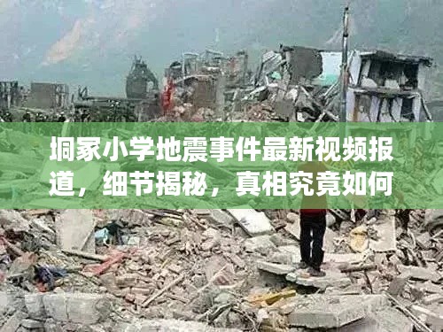 垌冢小學(xué)地震事件最新視頻報(bào)道，細(xì)節(jié)揭秘，真相究竟如何？