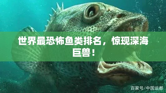 世界最恐怖魚類排名，驚現(xiàn)深海巨獸！