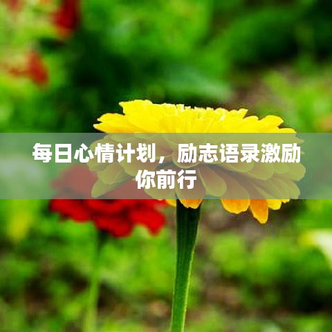 每日心情計(jì)劃，勵(lì)志語(yǔ)錄激勵(lì)你前行