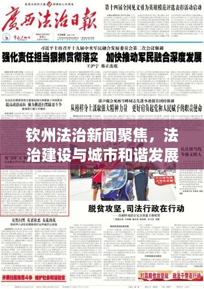 飛揚跋扈